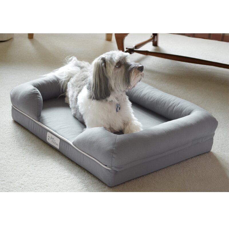 Petfusion memory shops foam dog bed large